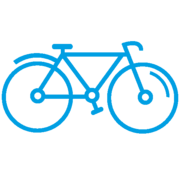 Icon Bike